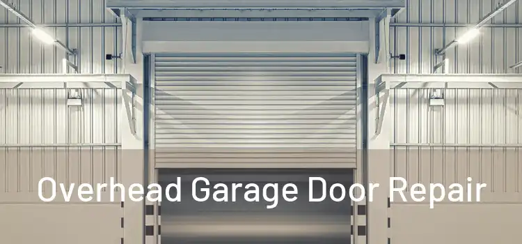  Overhead Garage Door Repair 